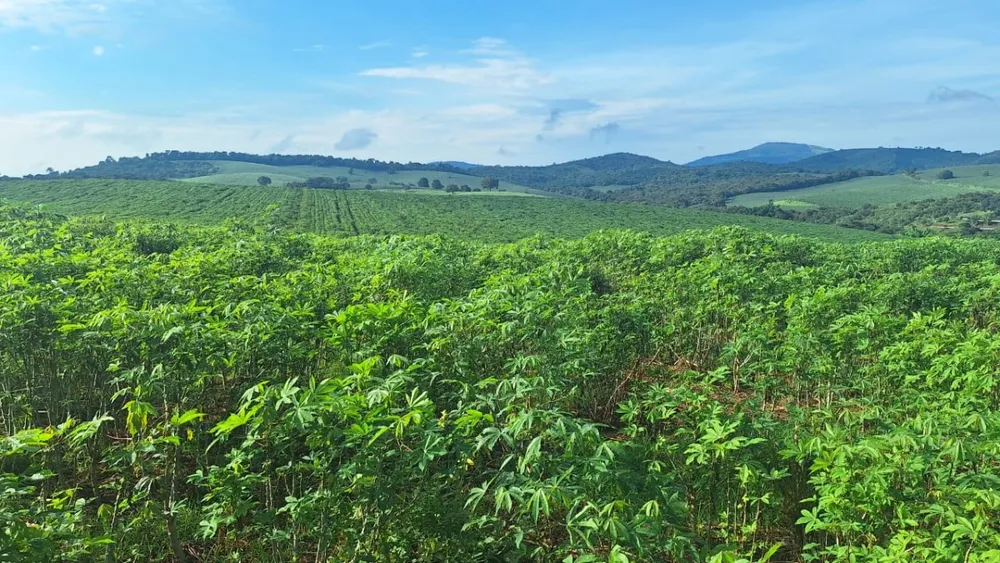 Fazenda, 116 hectares - Foto 10