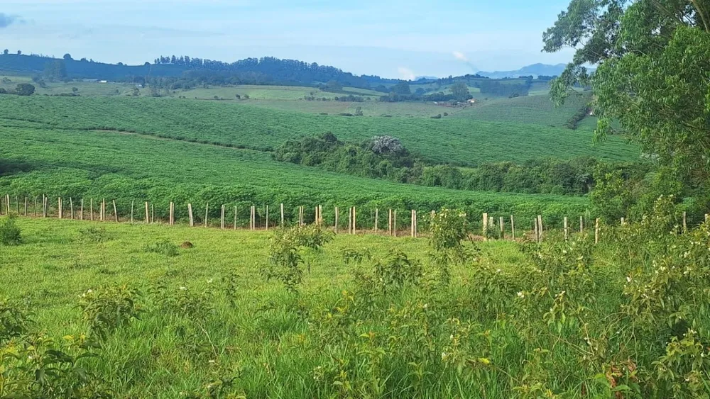 Fazenda, 116 hectares - Foto 4