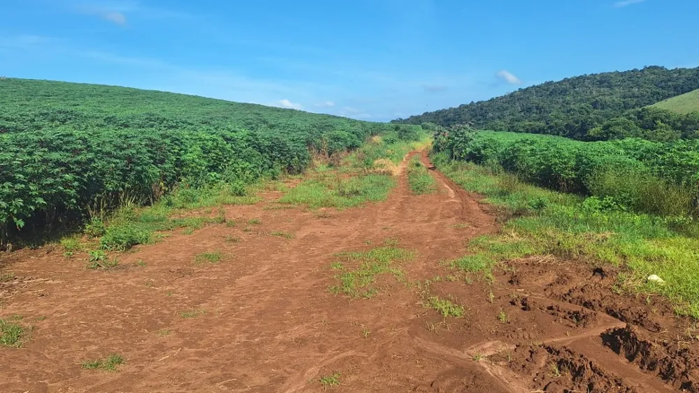 Fazenda, 116 hectares - Foto 12