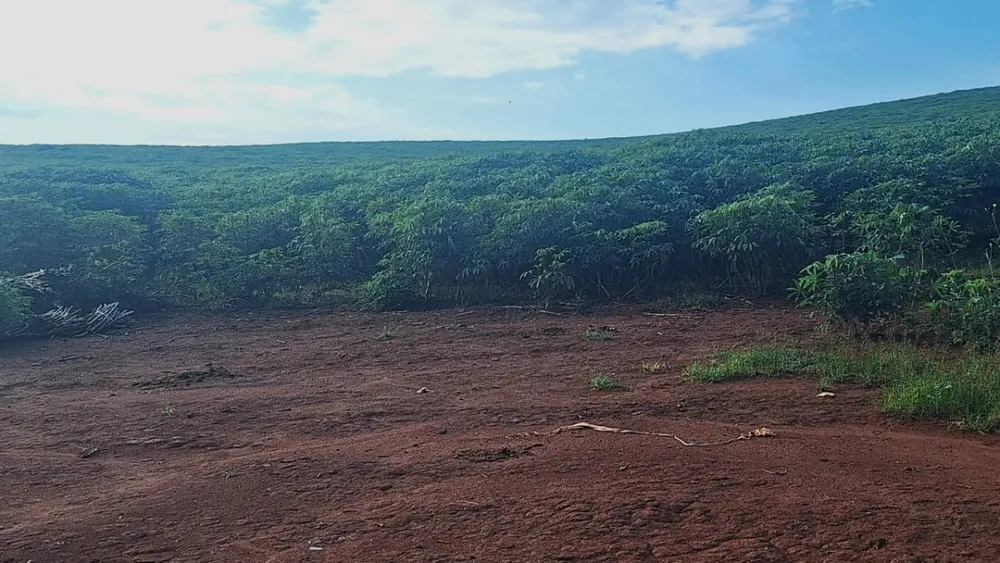 Fazenda, 116 hectares - Foto 8