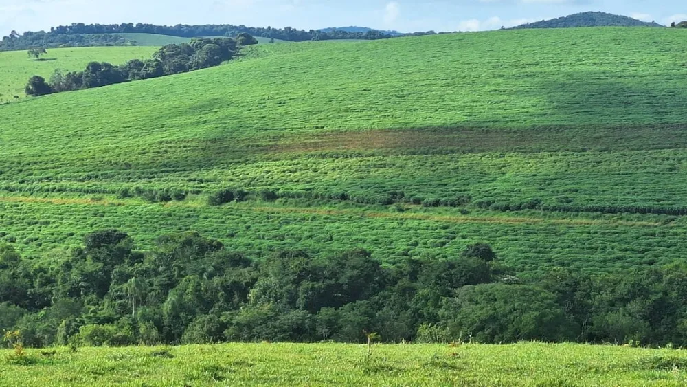 Fazenda, 116 hectares - Foto 2