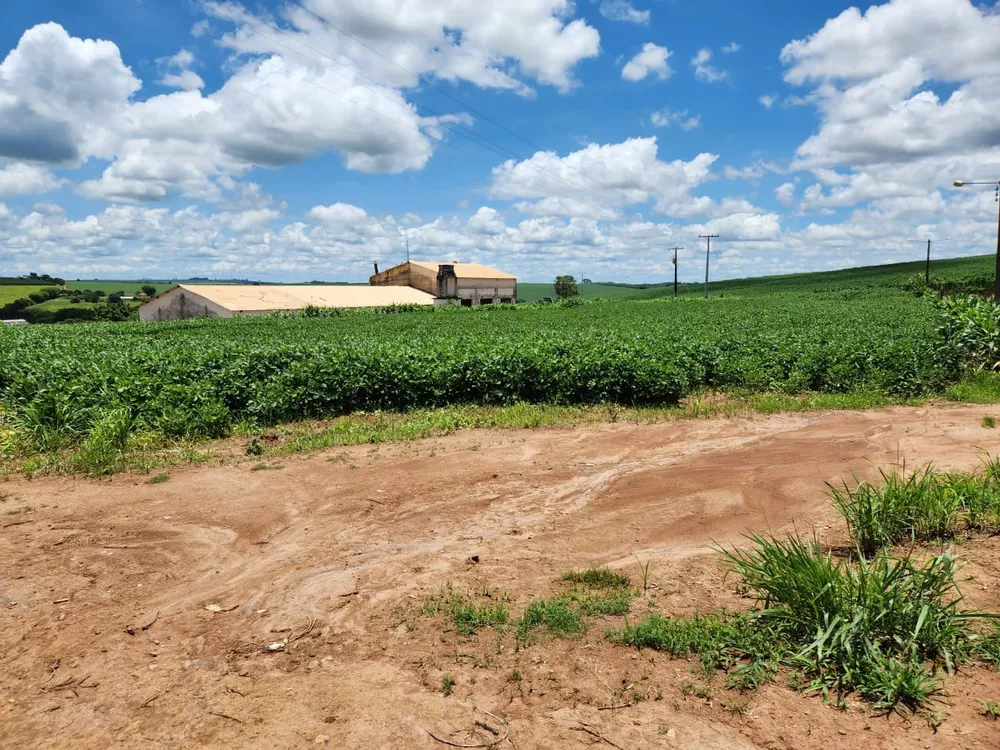 Chácara à venda com 4 quartos, 2000000m² - Foto 5