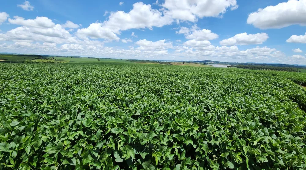 Chácara à venda com 4 quartos, 2000000m² - Foto 1