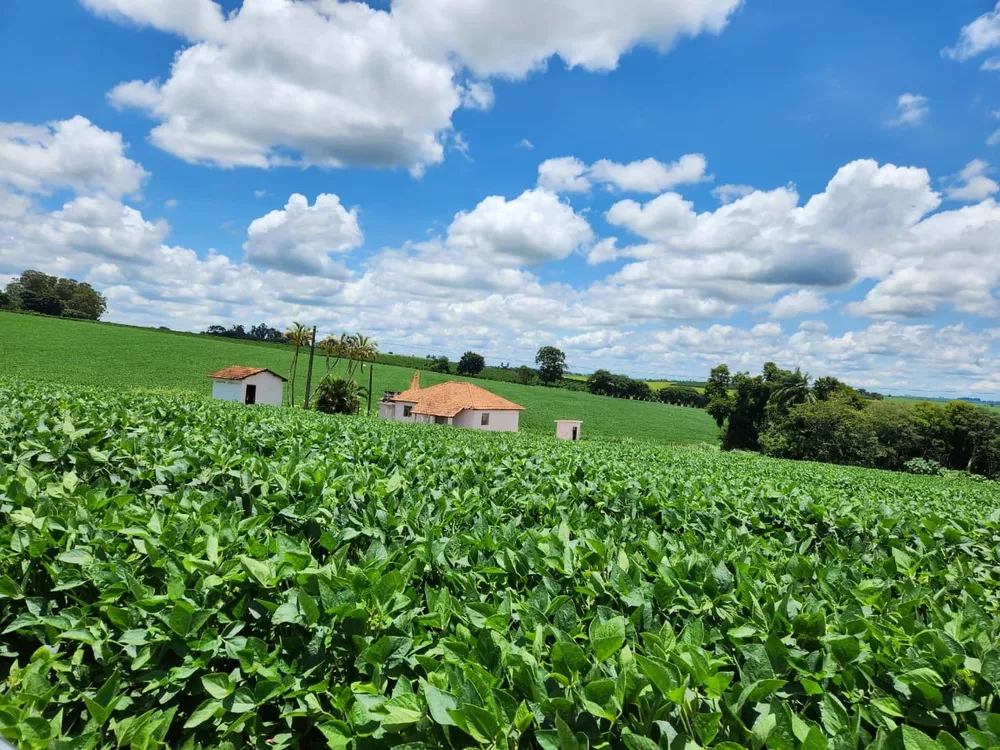 Chácara à venda com 4 quartos, 2000000m² - Foto 4