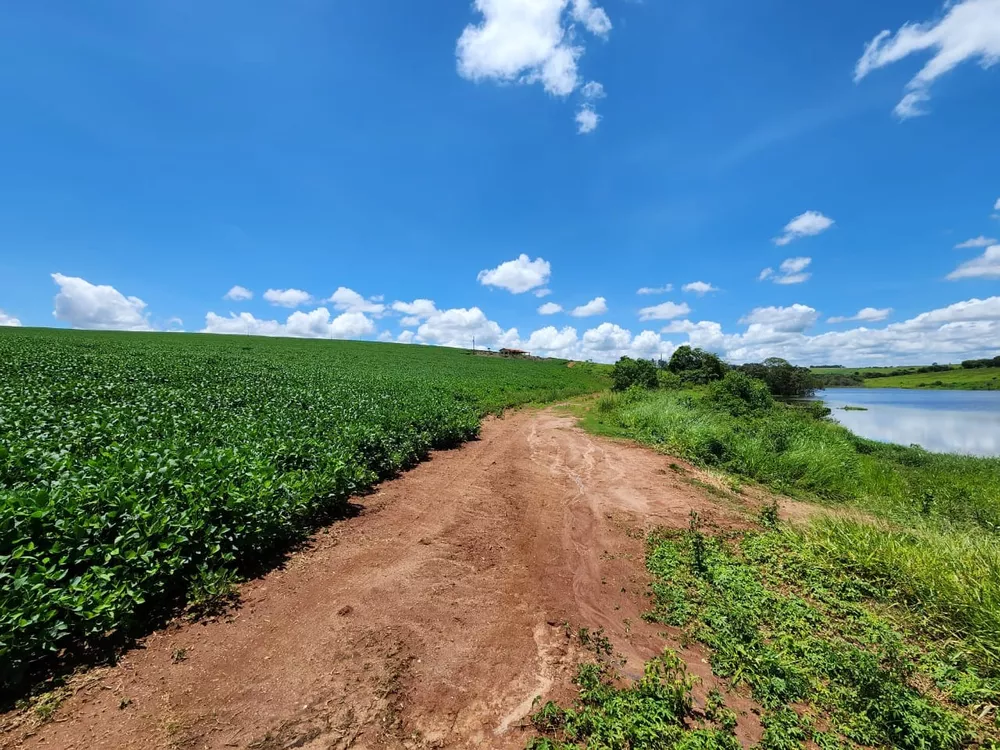 Chácara à venda com 4 quartos, 2000000m² - Foto 8