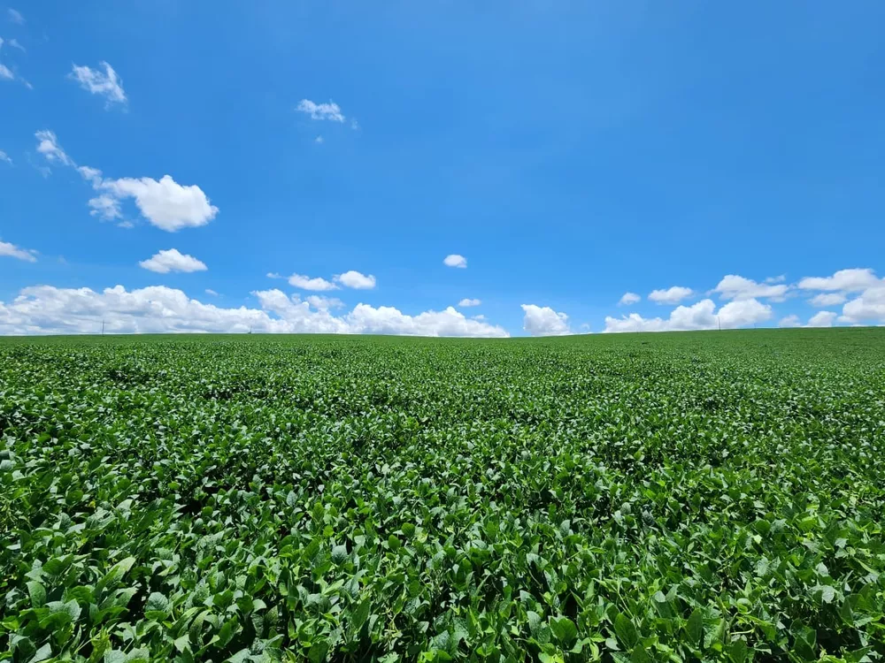 Chácara à venda com 4 quartos, 2000000m² - Foto 2