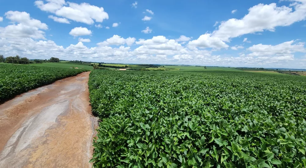 Chácara à venda com 4 quartos, 2000000m² - Foto 7