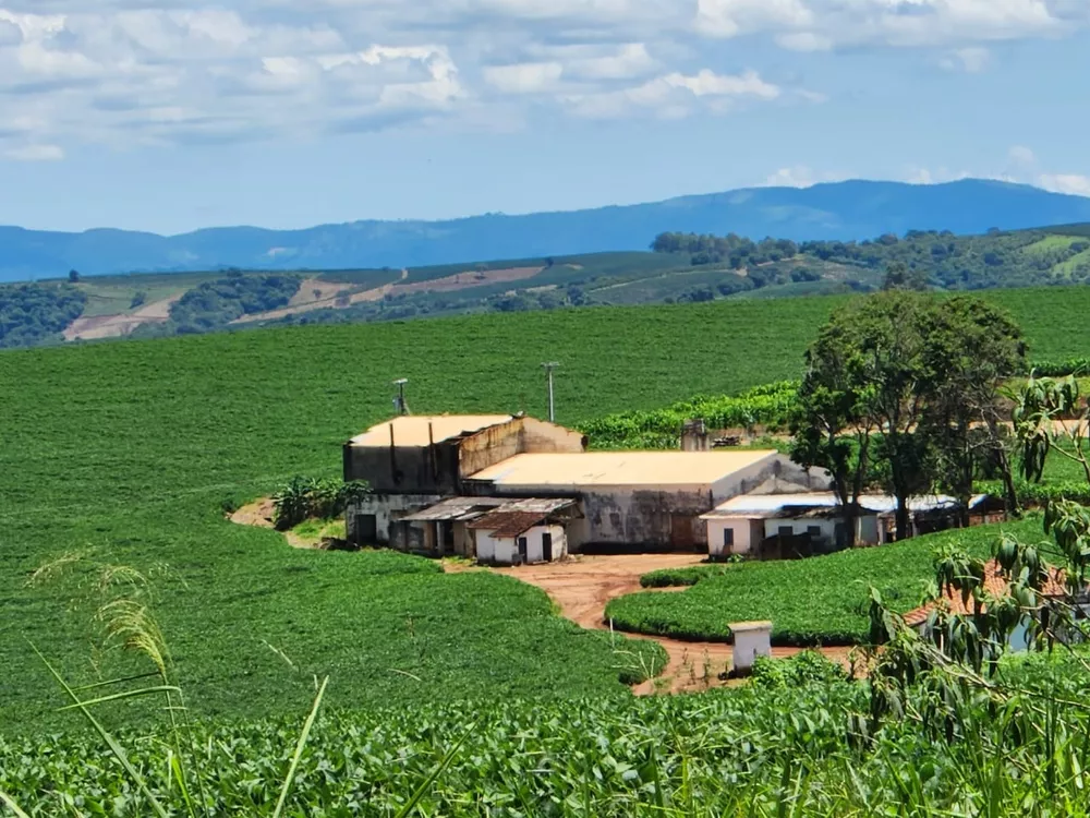 Chácara à venda com 4 quartos, 2000000m² - Foto 3