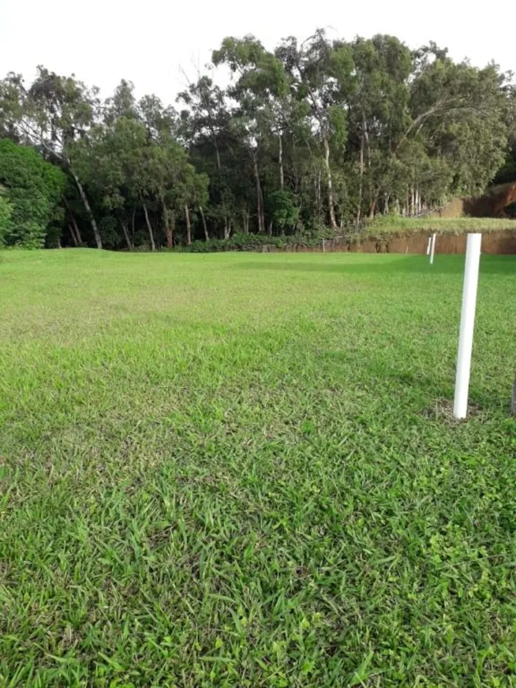 Terreno, 10612 m² - Foto 5