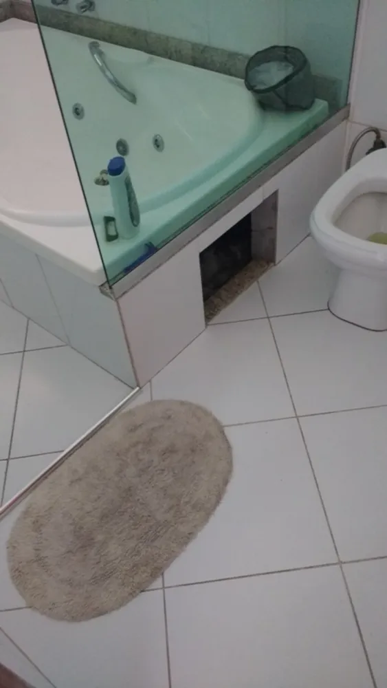 Casa, 4 quartos, 304 m² - Foto 11
