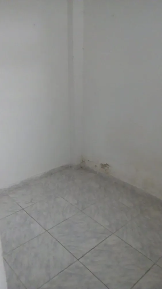 Casa, 4 quartos, 586 m² - Foto 5