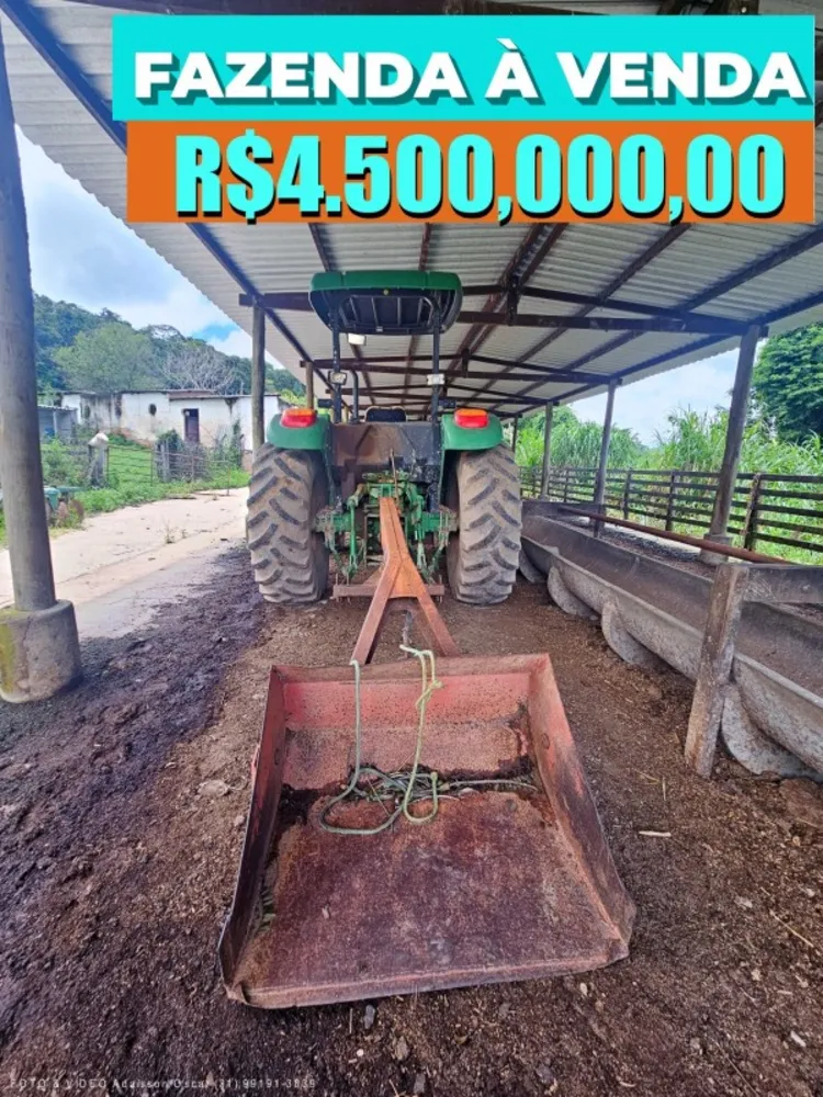 Fazenda, 129 hectares - Foto 11