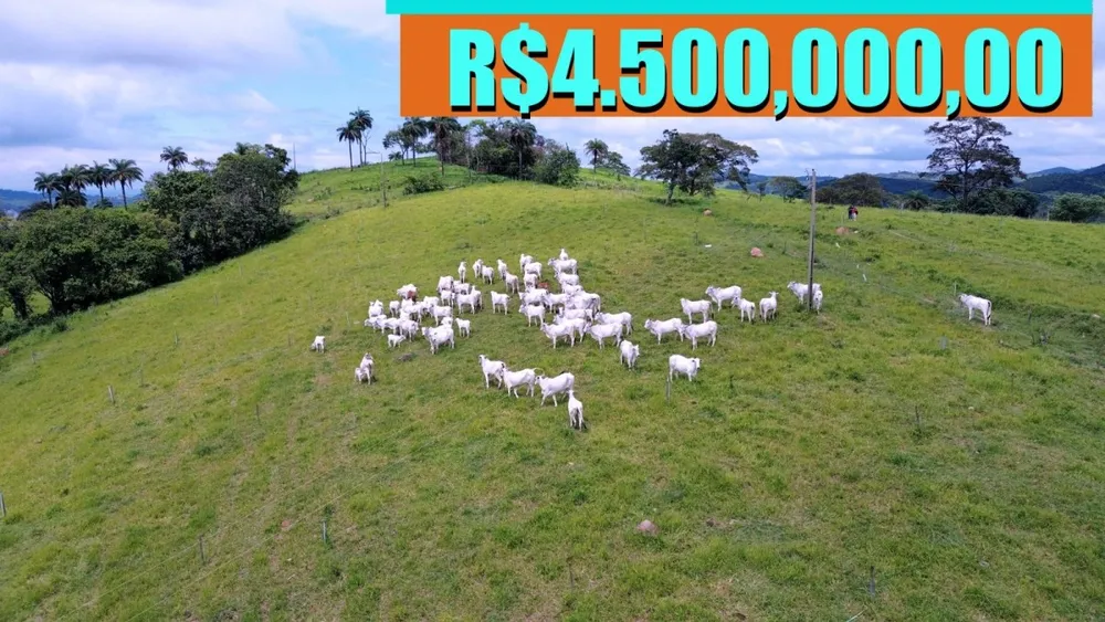 Fazenda, 129 hectares - Foto 13