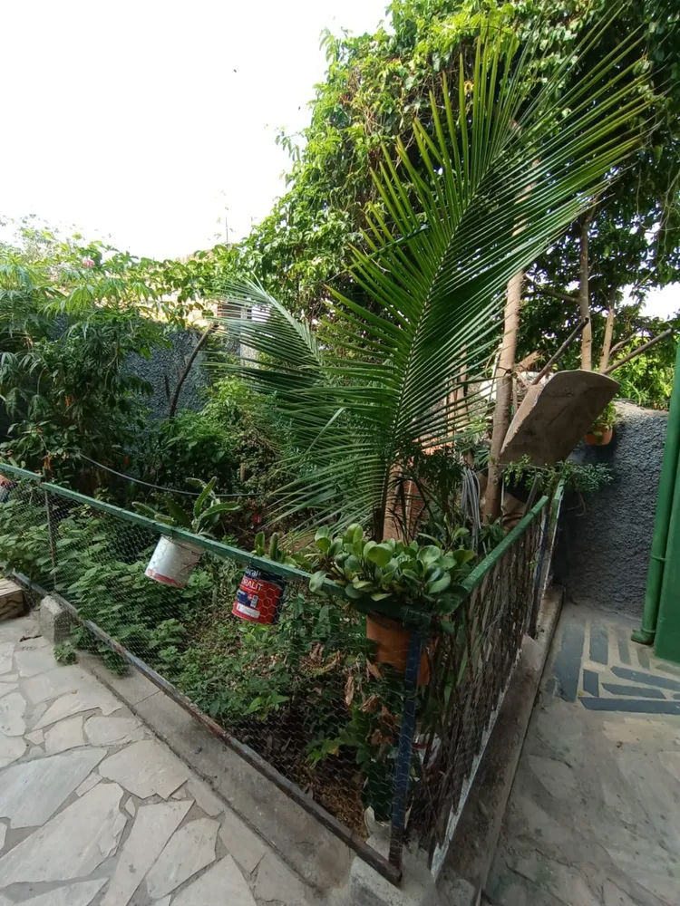 Casa, 3 quartos, 169 m² - Foto 10