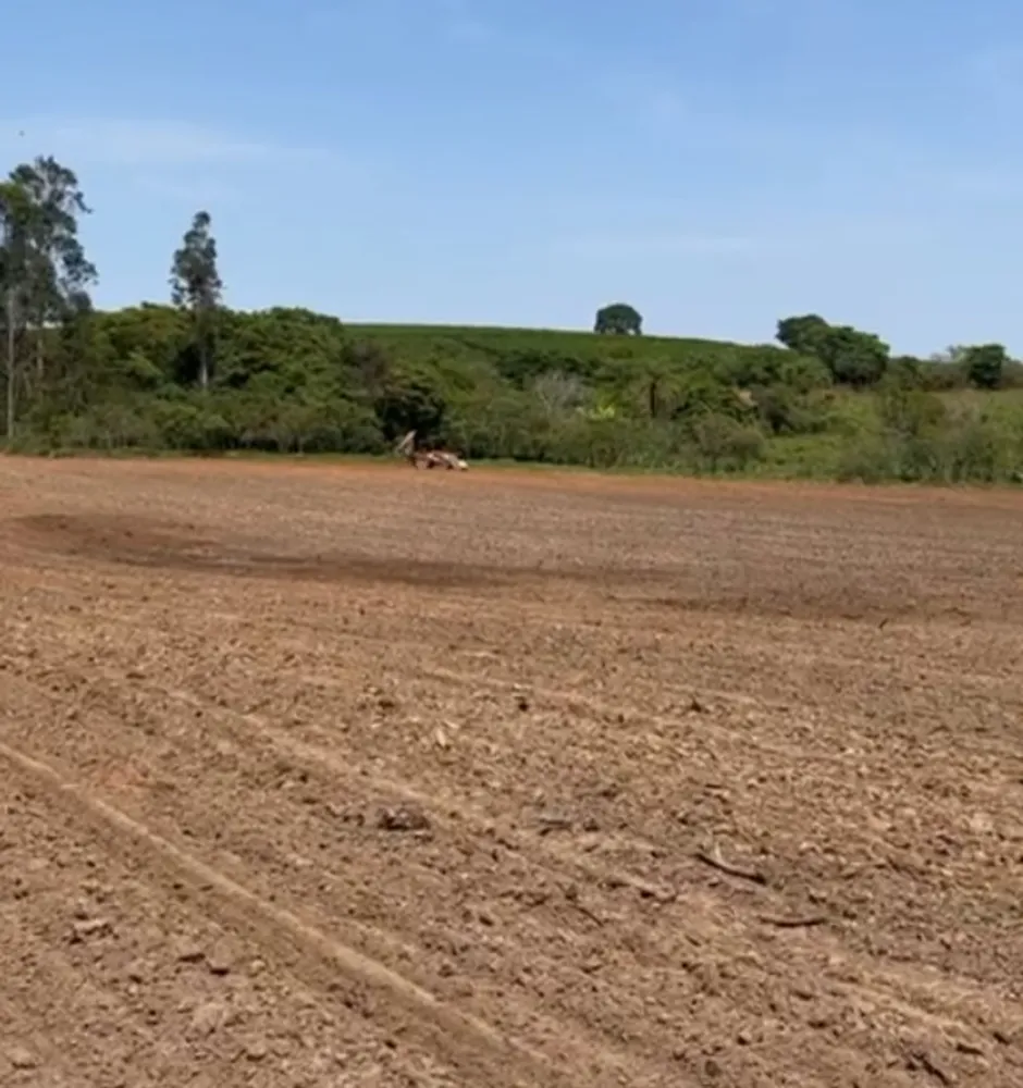 Fazenda, 346 hectares - Foto 16
