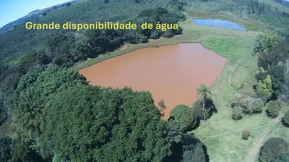 Fazenda, 346 hectares - Foto 2