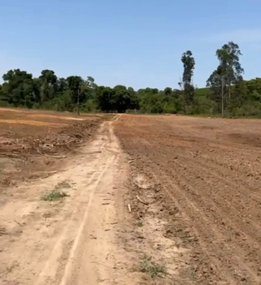Fazenda, 346 hectares - Foto 15