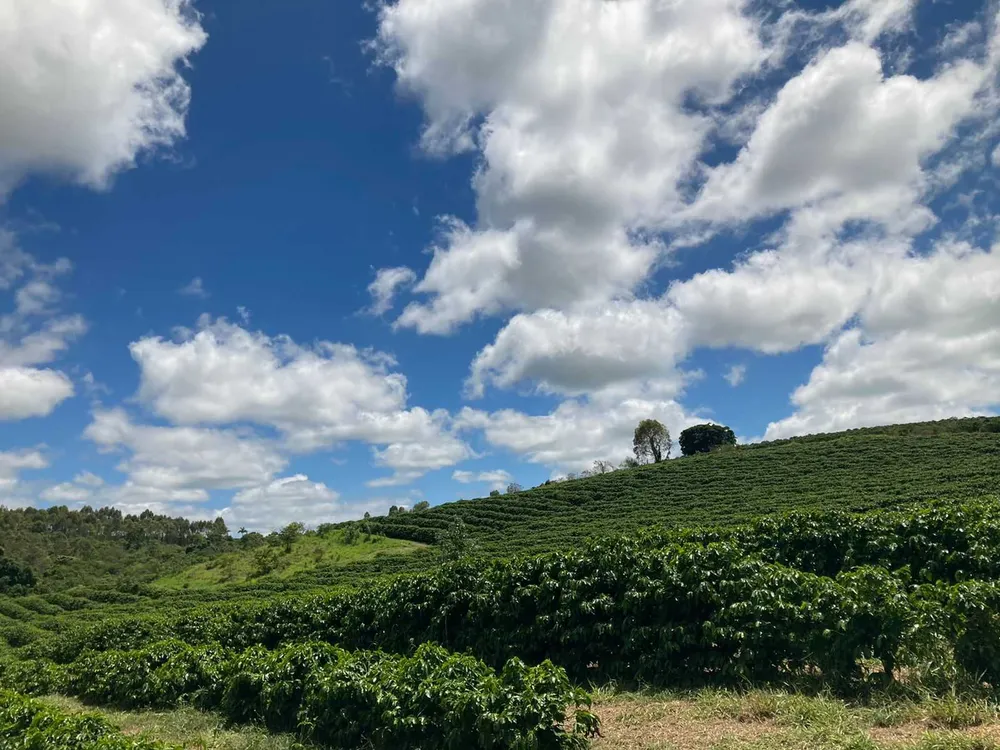 Fazenda, 346 hectares - Foto 5