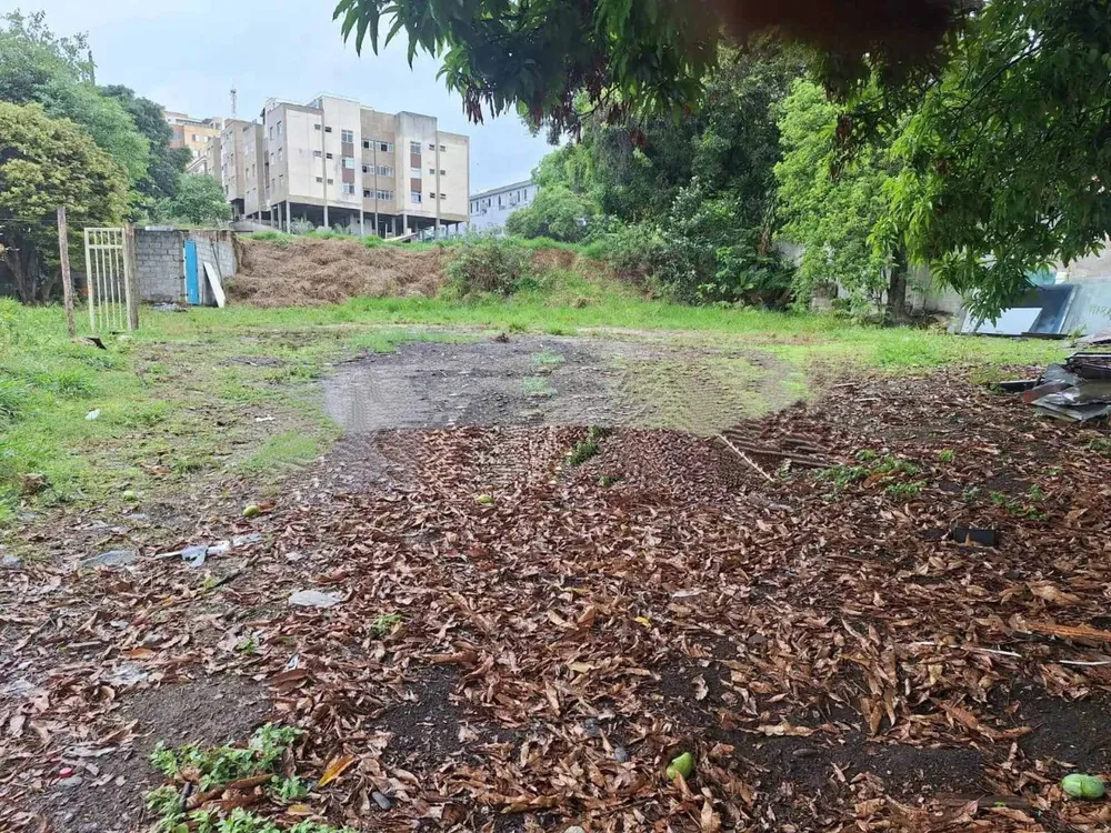 Terreno, 2715 m² - Foto 6