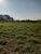 Terreno, 9174 m² - Foto 2