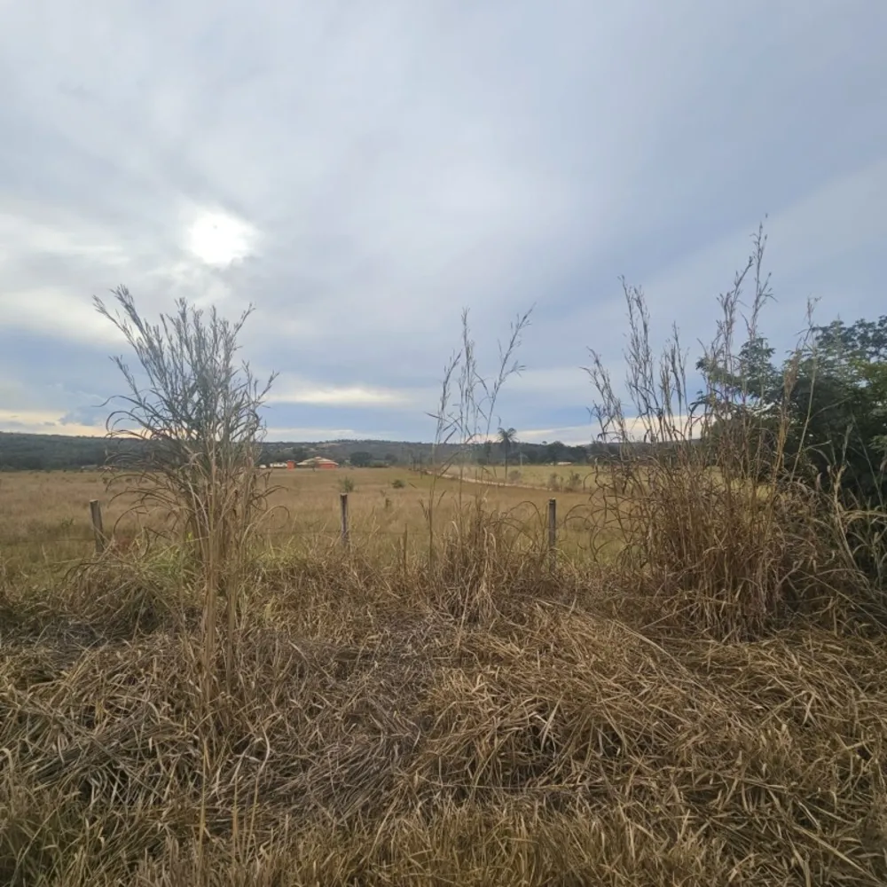 Terreno, 2 hectares - Foto 5