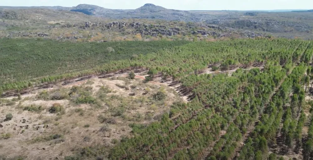 Fazenda, 1636 hectares - Foto 3