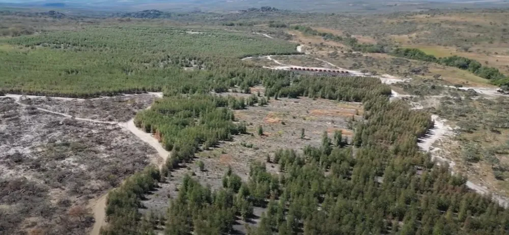 Fazenda, 1636 hectares - Foto 13