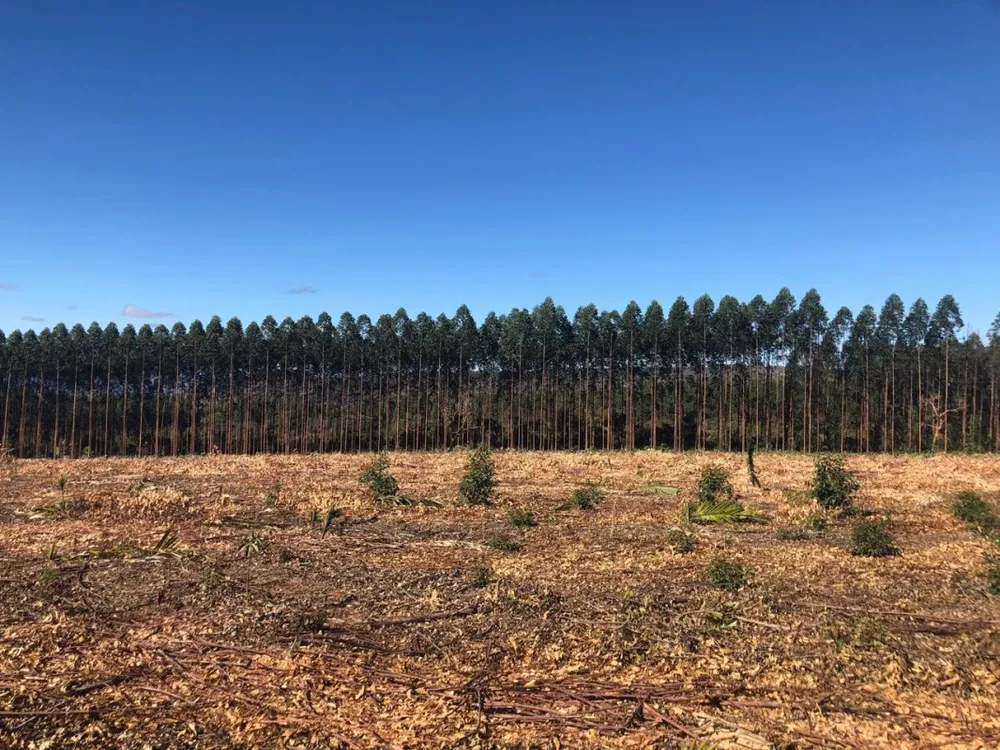 Fazenda, 1636 hectares - Foto 1