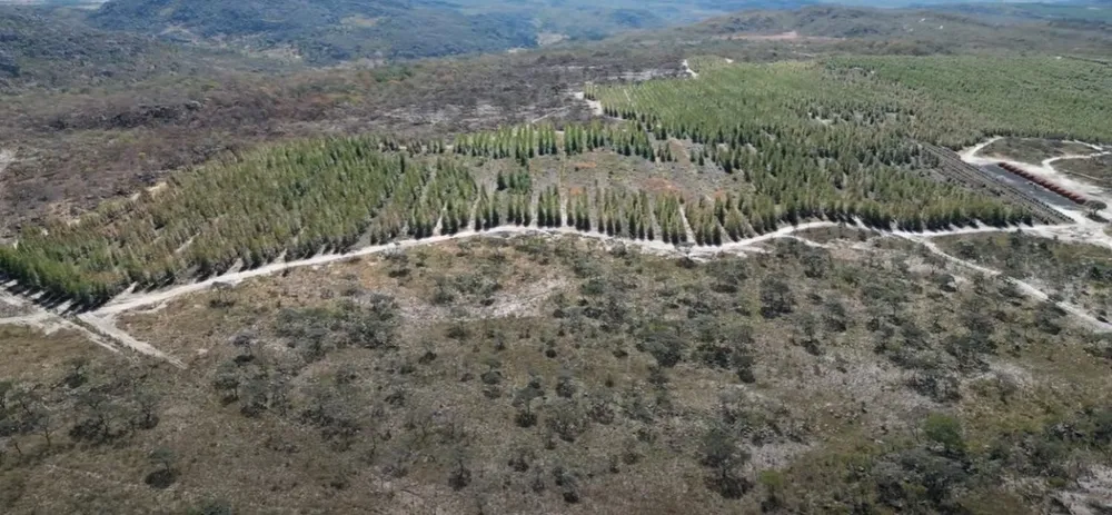 Fazenda, 1636 hectares - Foto 11