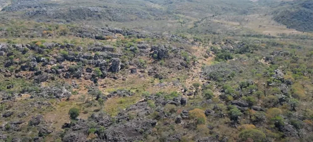 Fazenda, 1636 hectares - Foto 16
