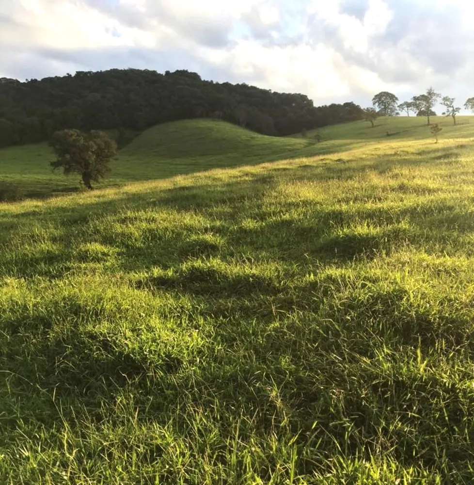 Fazenda, 109 hectares - Foto 3