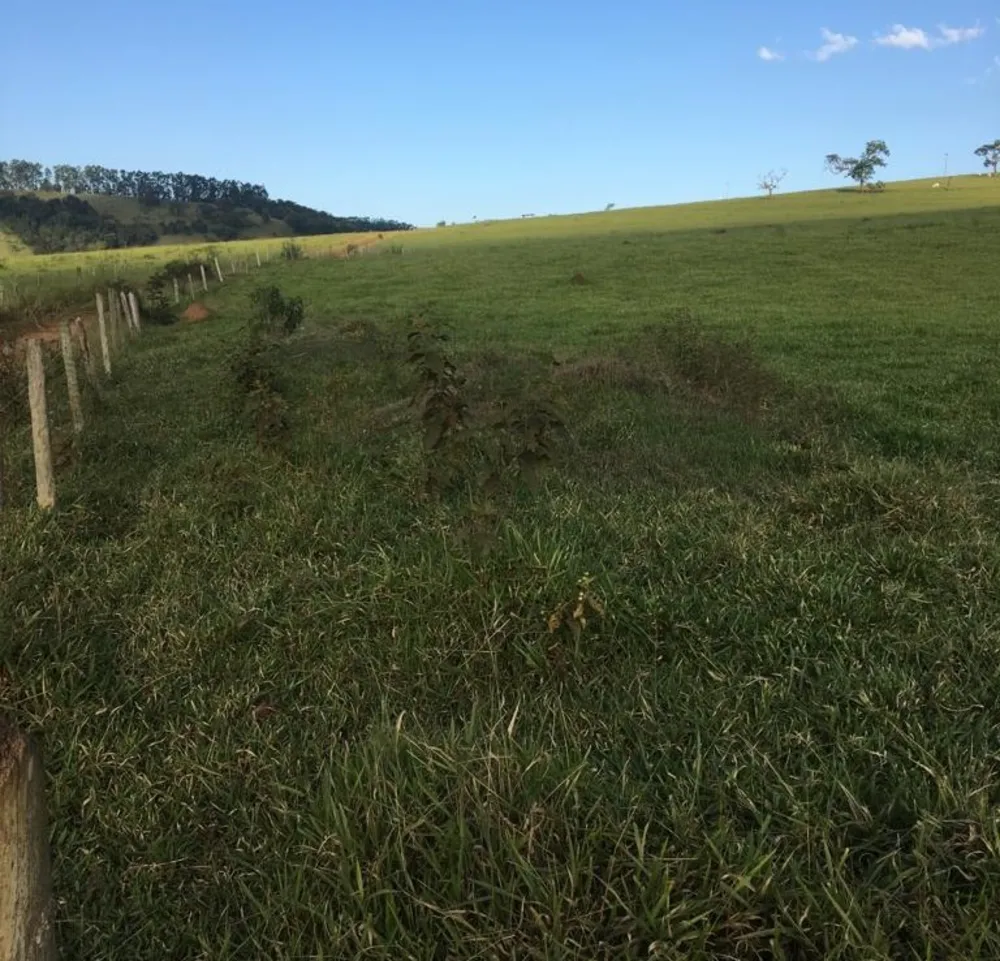 Fazenda, 109 hectares - Foto 15