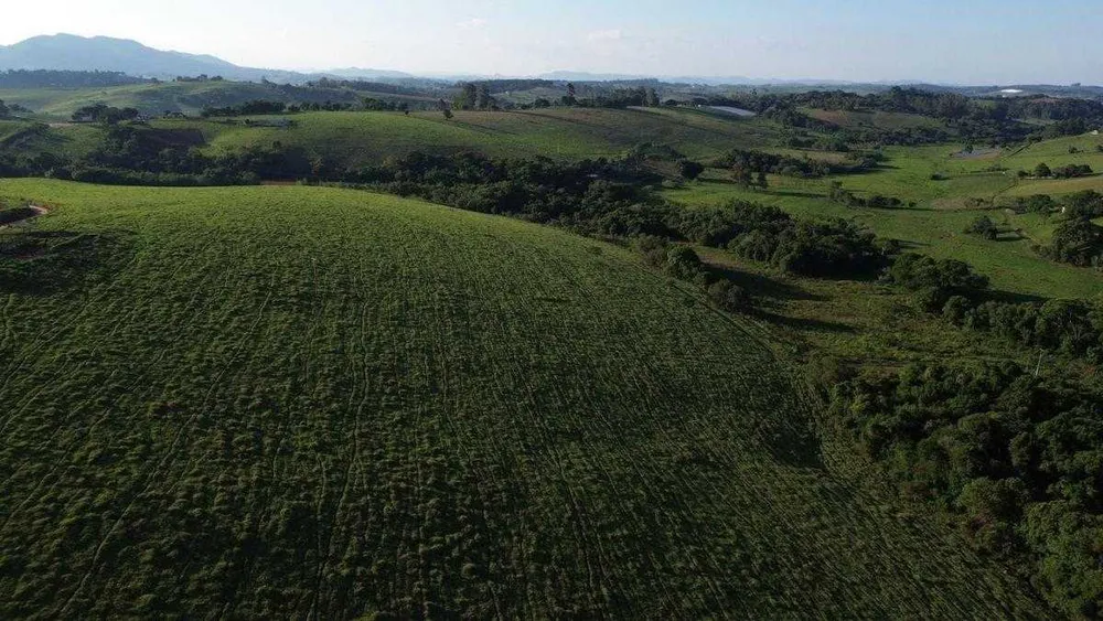 Fazenda, 109 hectares - Foto 2