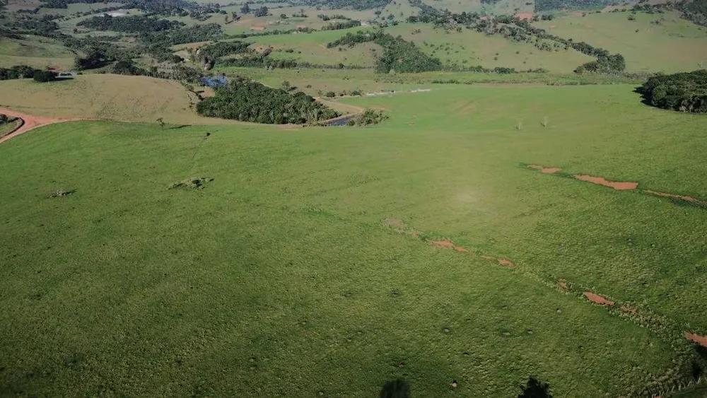Fazenda, 109 hectares - Foto 7
