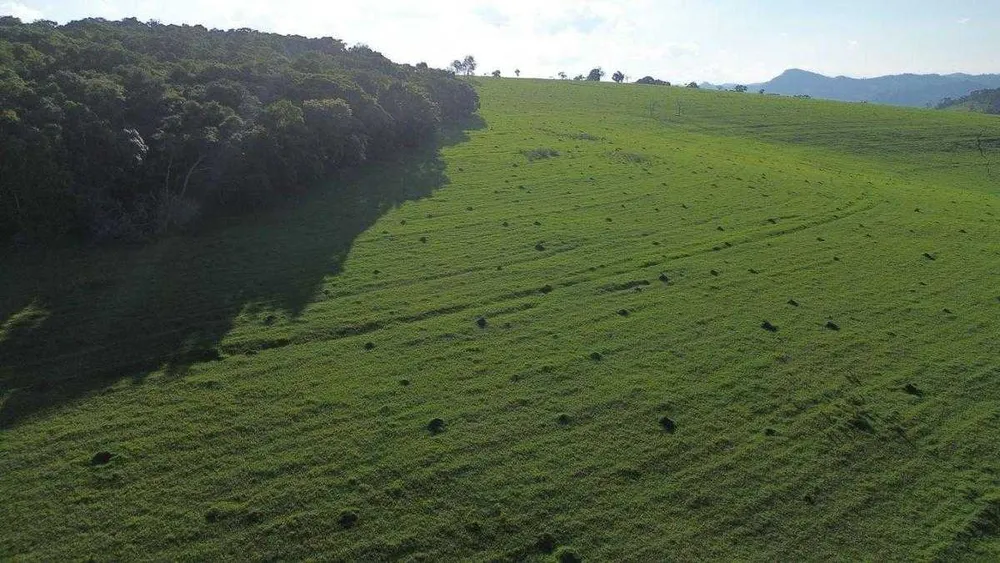 Fazenda, 109 hectares - Foto 4
