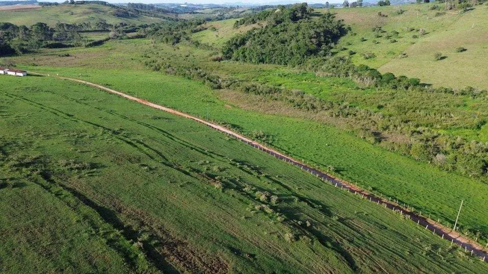 Fazenda, 109 hectares - Foto 3