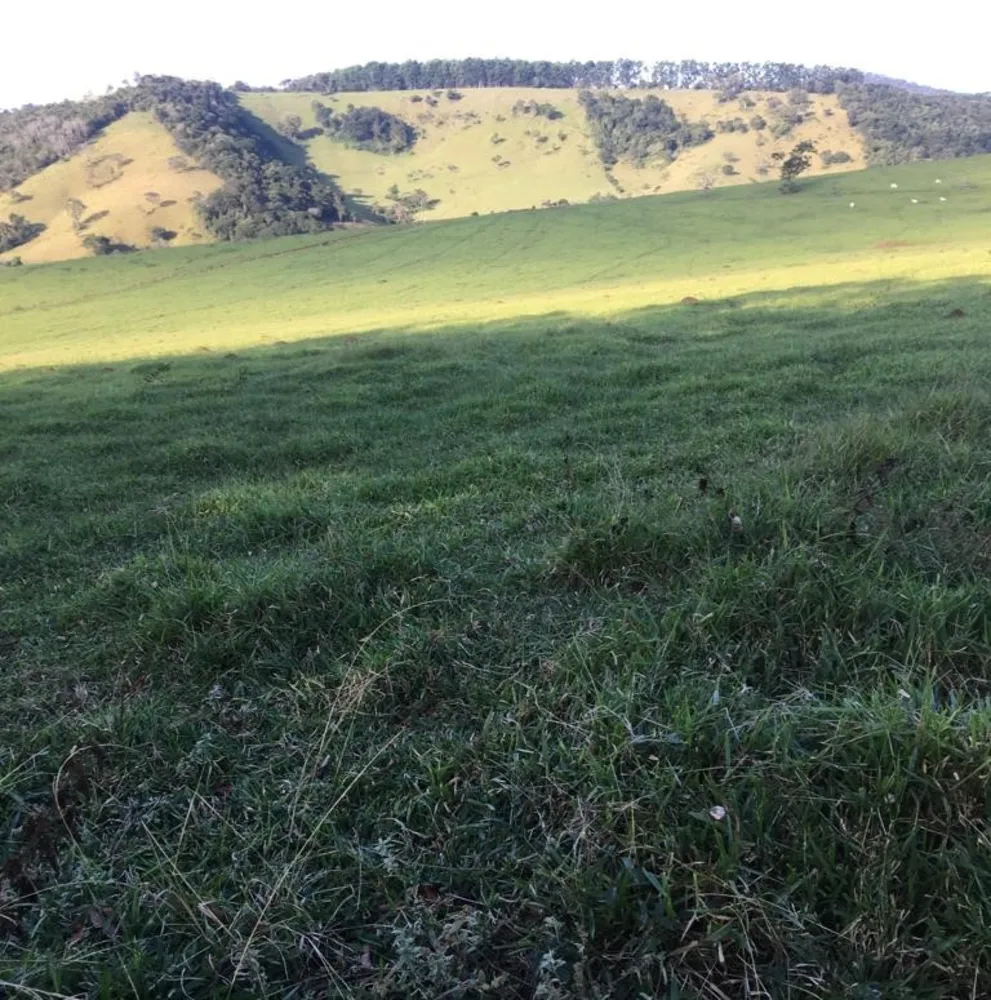 Fazenda, 109 hectares - Foto 12