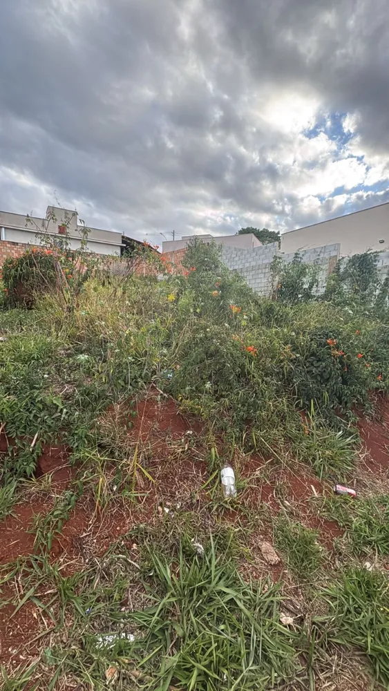 Terreno, 309 m² - Foto 5