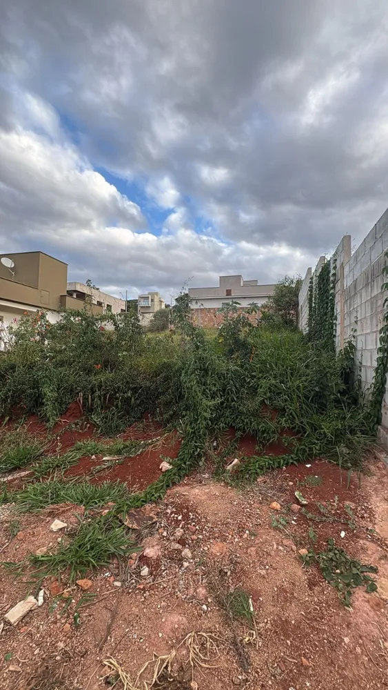 Terreno, 309 m² - Foto 3