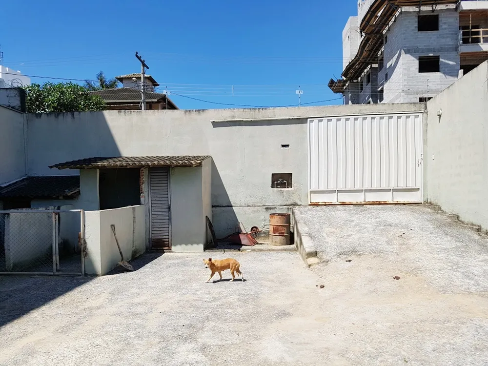 Casa, 4 quartos, 260 m² - Foto 20