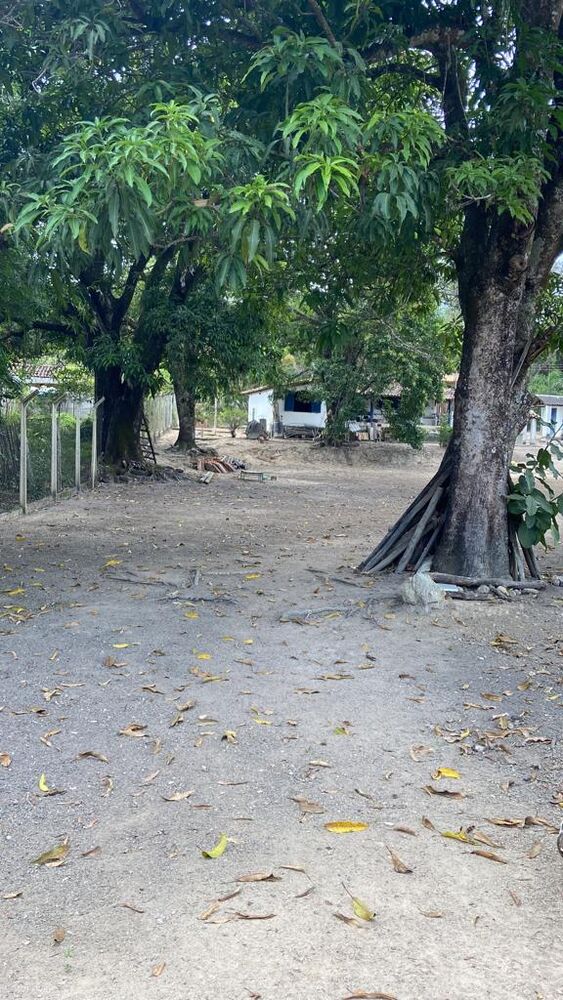 Sítio à venda com 3 quartos, 100m² - Foto 8