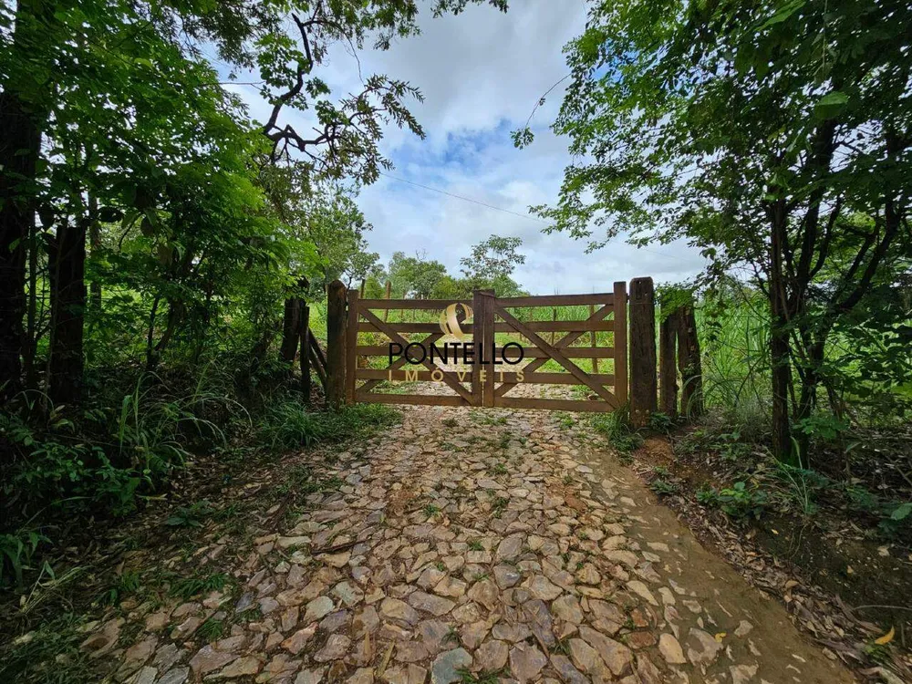 Fazenda, 11 hectares - Foto 9