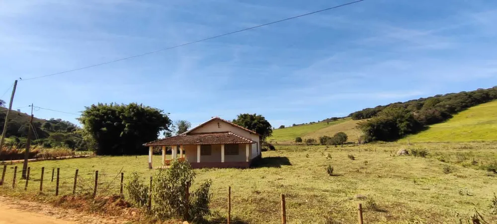 Fazenda, 56 hectares - Foto 2