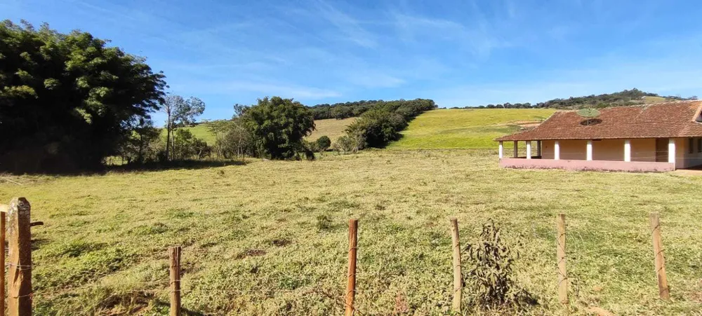 Fazenda, 56 hectares - Foto 3