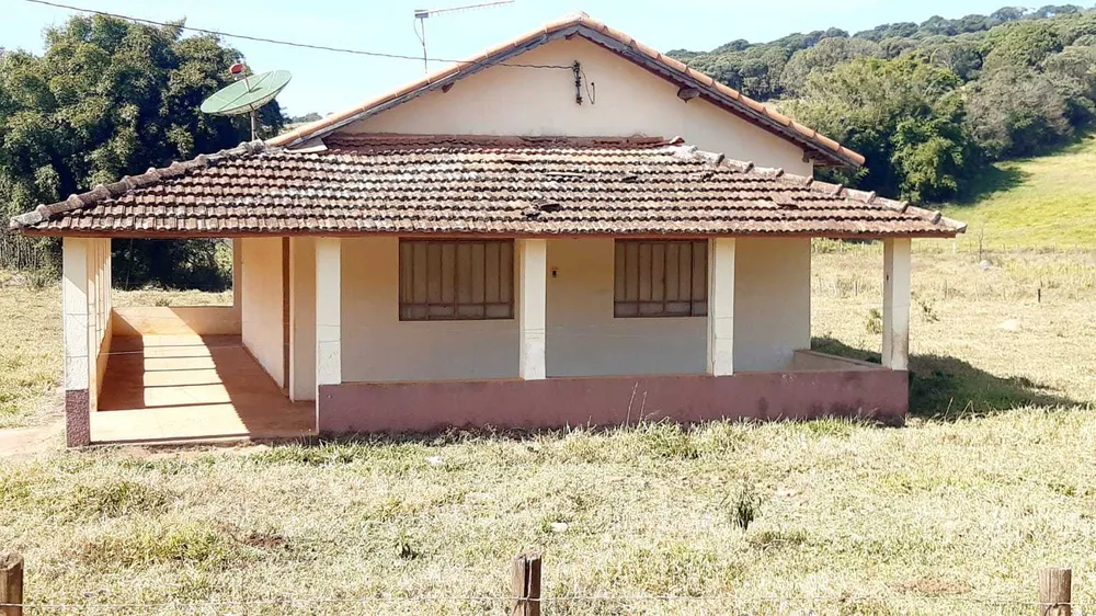 Fazenda, 56 hectares - Foto 4