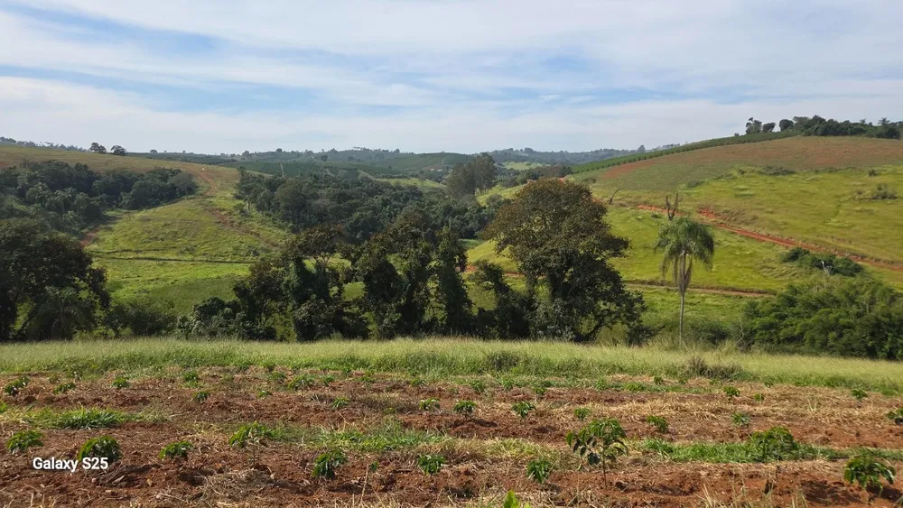 Fazenda, 73 hectares - Foto 3