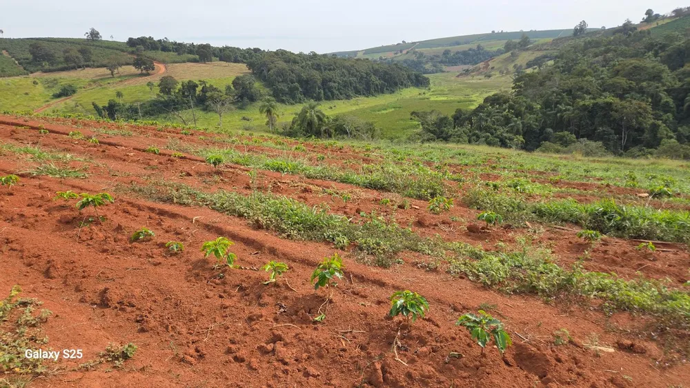 Fazenda, 73 hectares - Foto 1