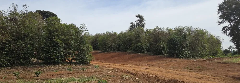 Fazenda, 73 hectares - Foto 6