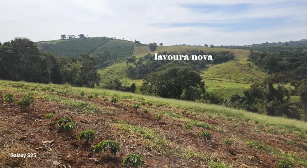 Fazenda, 73 hectares - Foto 10