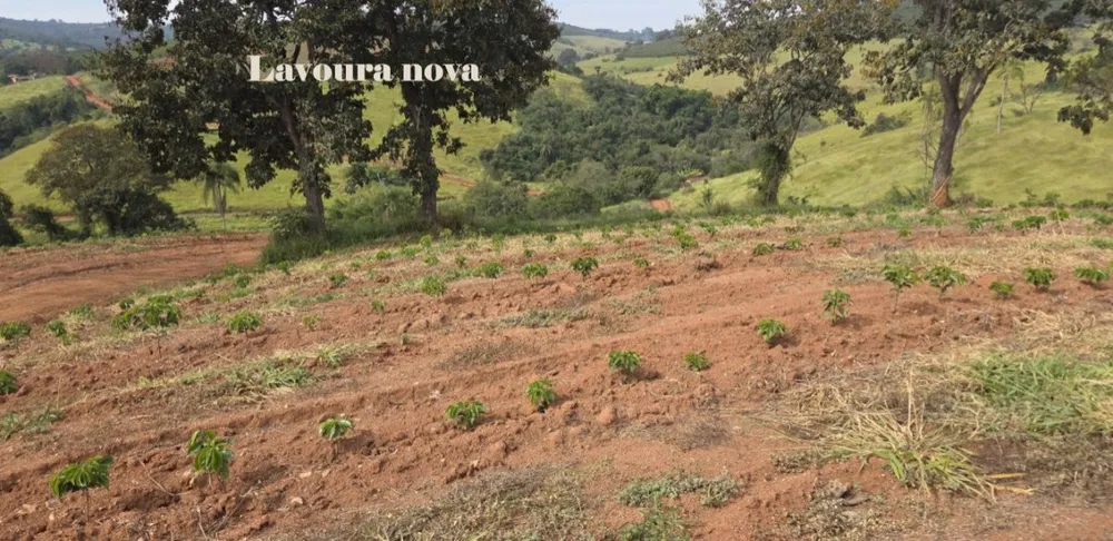 Fazenda, 73 hectares - Foto 4